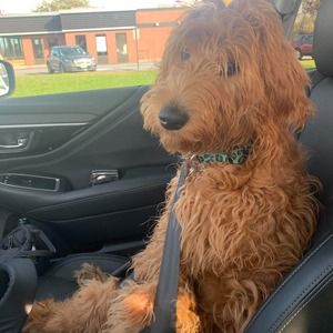 Meet your Posher, Kristin